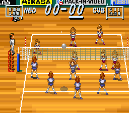 Multi Play Volleyball Screenshot 1